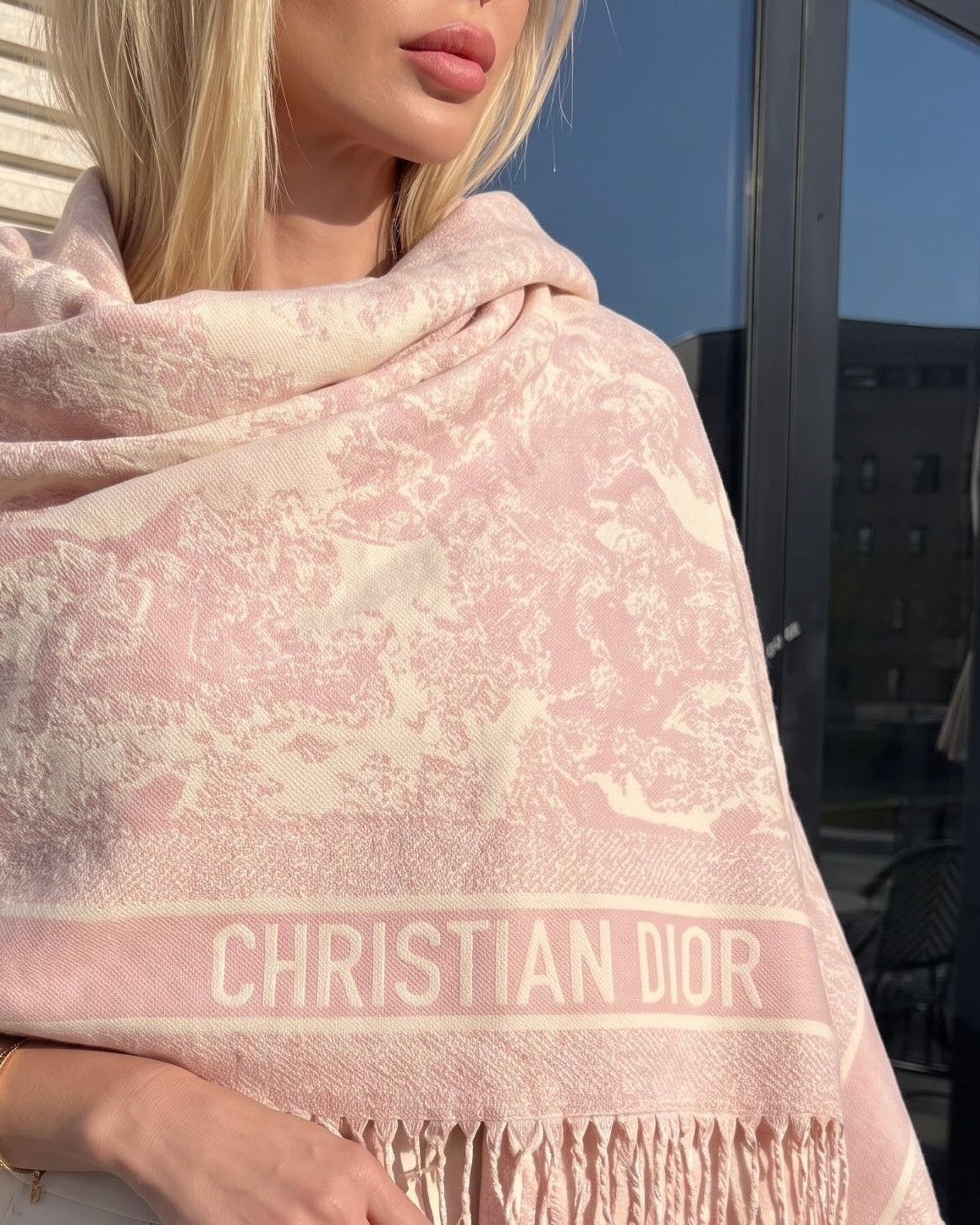 Christian Dior Toile de Jouy Fringed Scarf