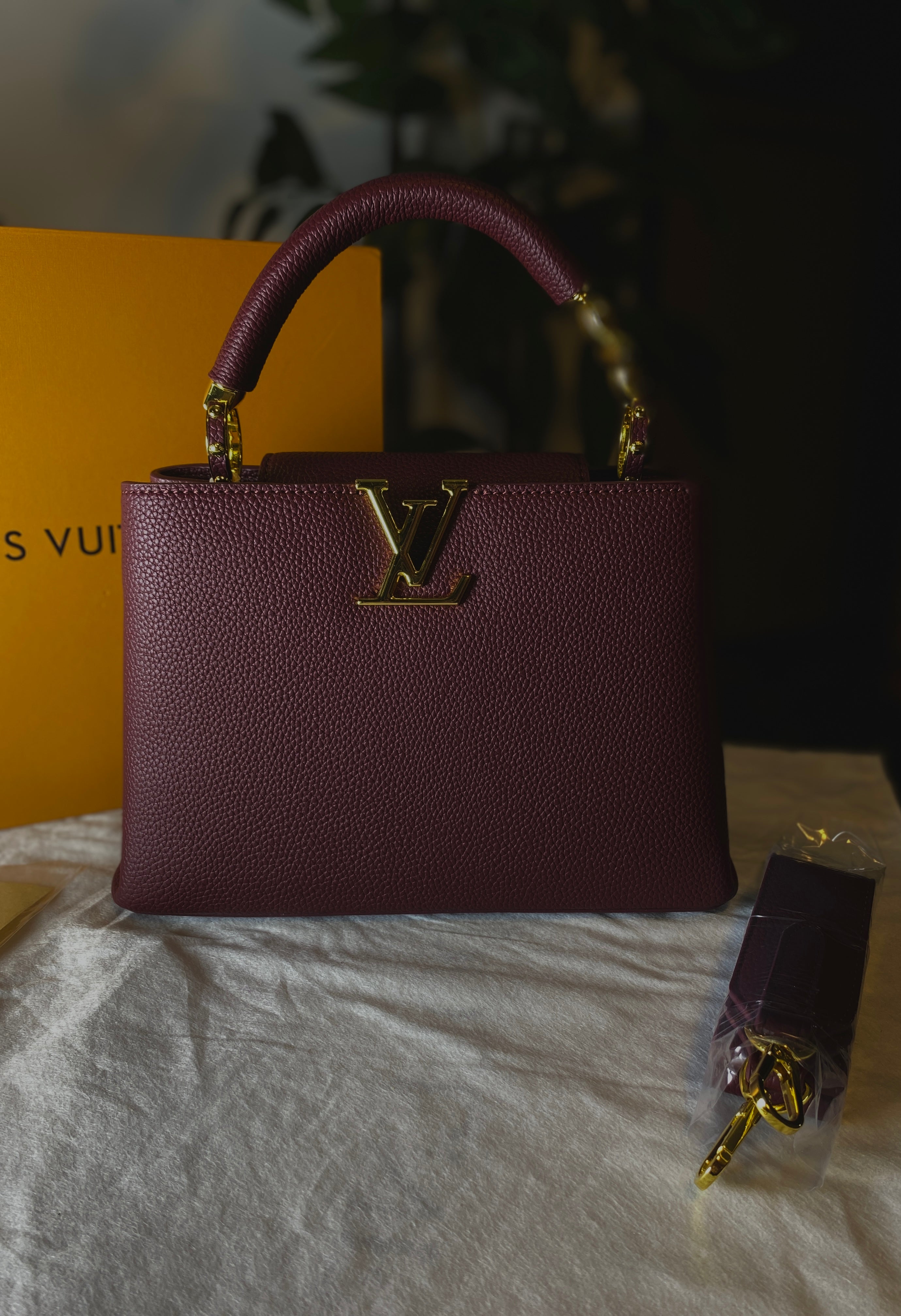 Louis Vuitton Capucines Style Bag