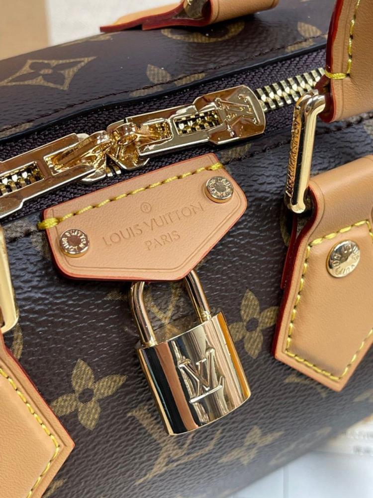 Louis Vuitton Speedy Bandoulière 20 Monogram Mix