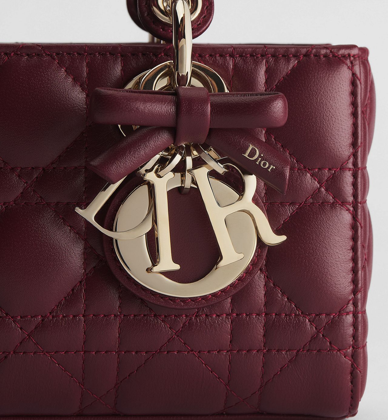 Lady Dior Joy Bag
