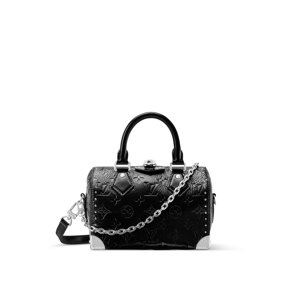 Louis Vuitton Speedy Trunk 20