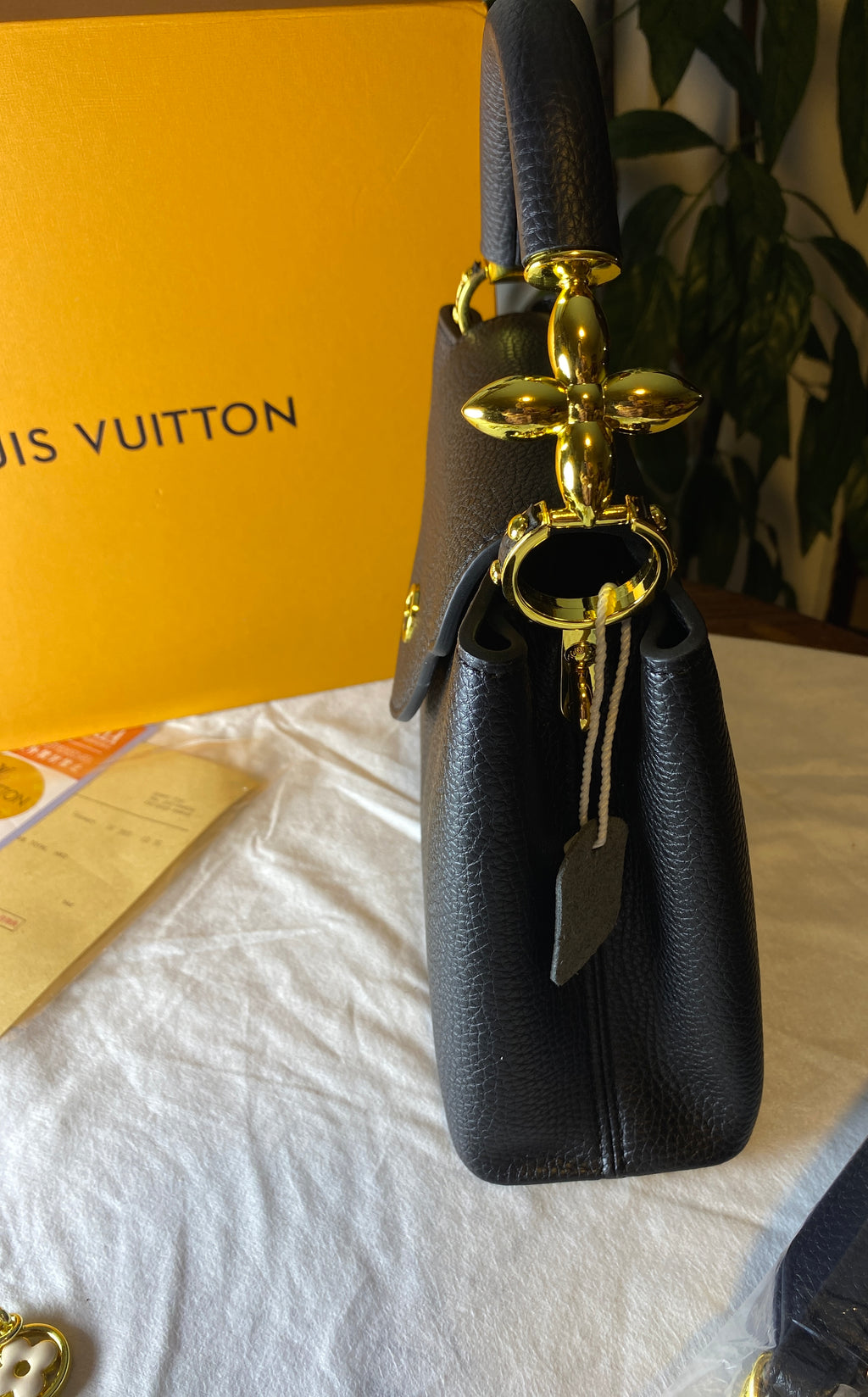 Louis Vuitton Capucines Style Bag