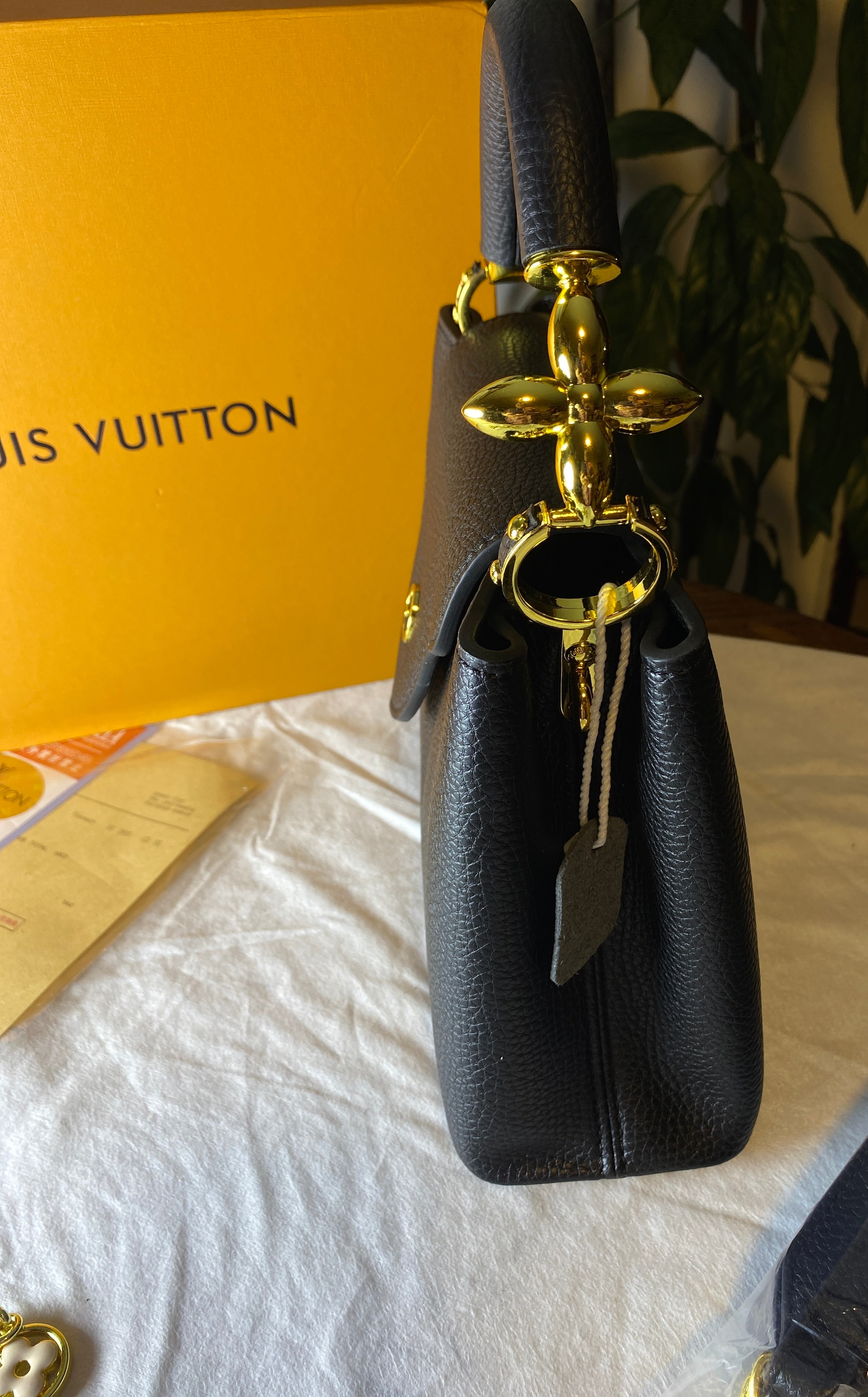 Louis Vuitton Capucines Style Bag