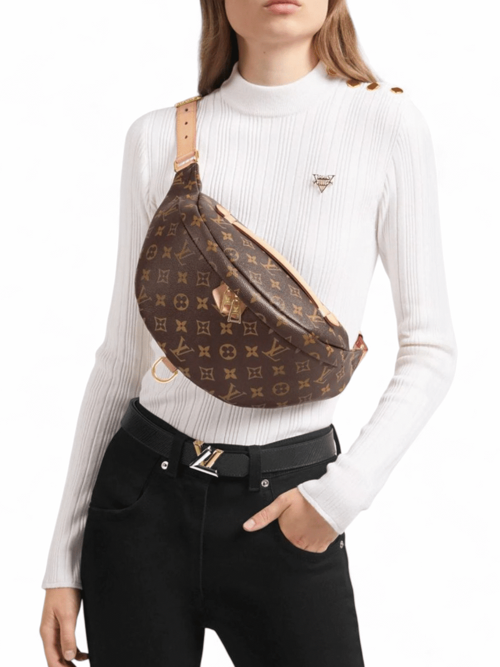 LOUIS VUITTON MONOGRAM CANVAS WAIST BUMBAG