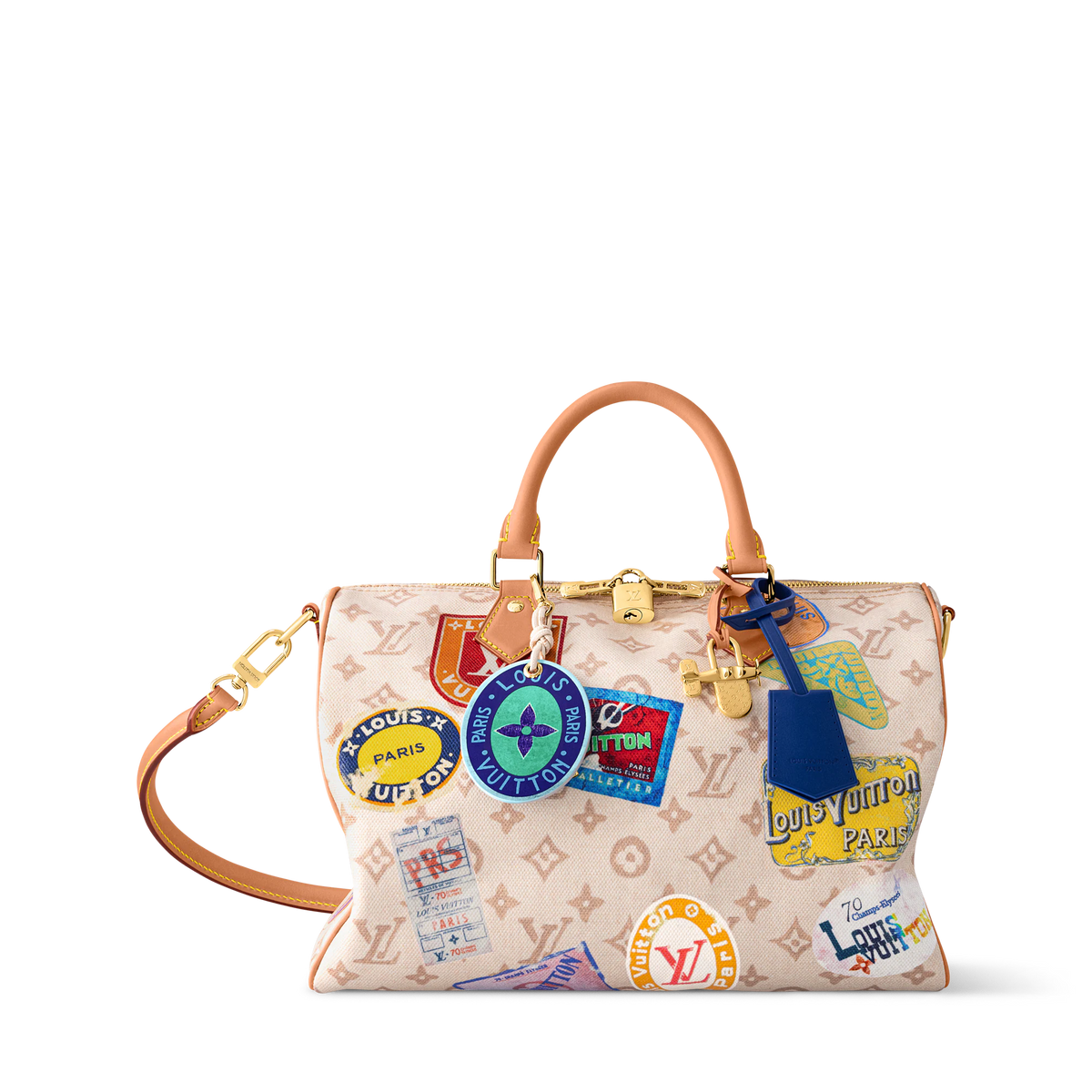 Louis Vuitton World Tour Speedy Bag