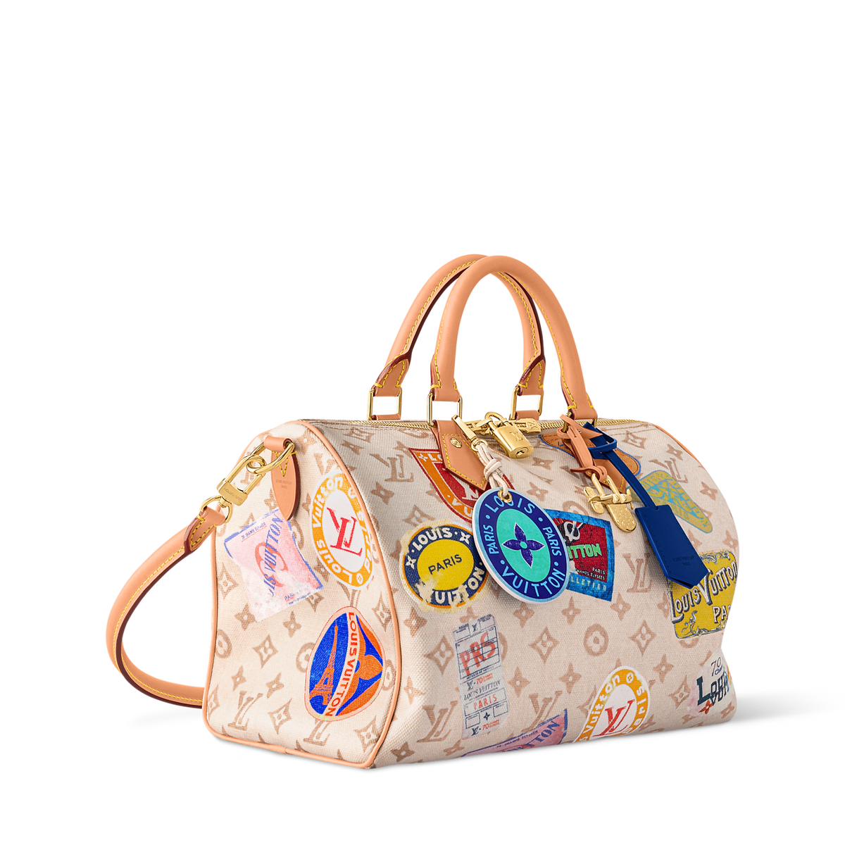 Louis Vuitton World Tour Speedy Bag
