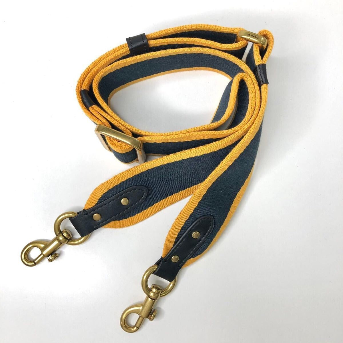 Coach Tote Bag with Removable Pouch & Web Strap