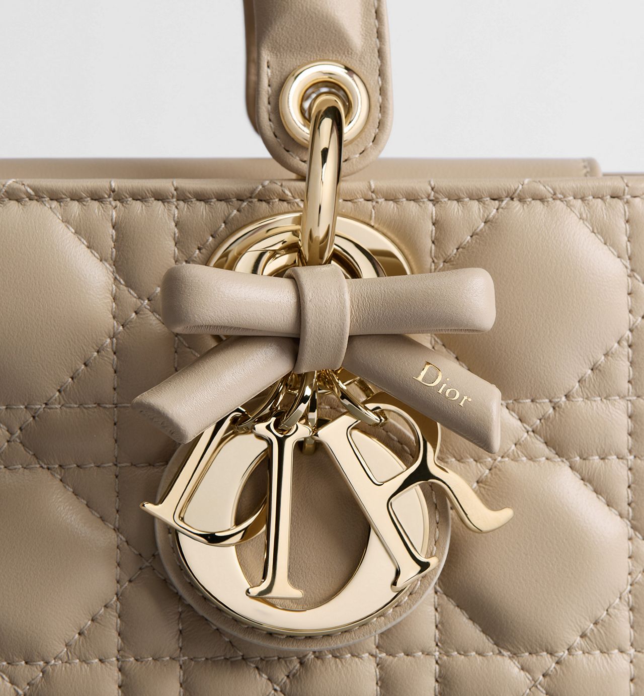 Lady Dior Joy Bag