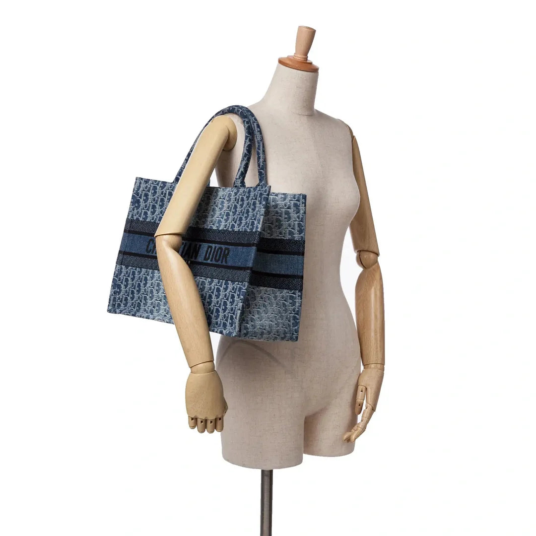 Dior Book Tote Bag