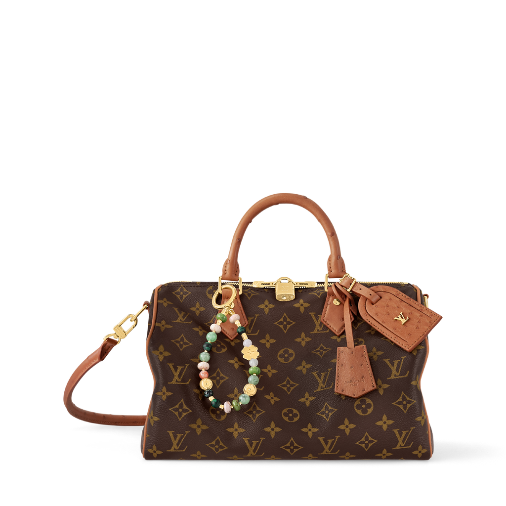 Louis Vuitton Speedy Bandoulière Monogram