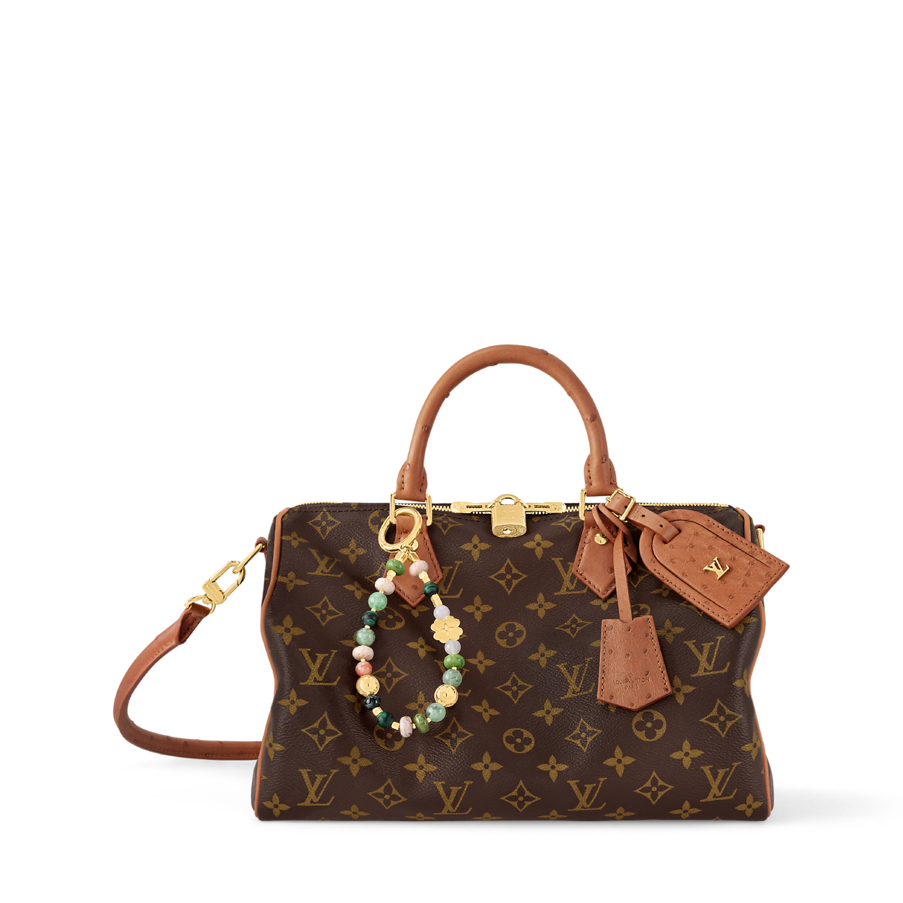 Louis Vuitton Speedy Bandoulière Monogram